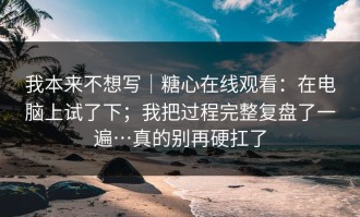 我本来不想写｜糖心在线观看：在电脑上试了下；我把过程完整复盘了一遍…真的别再硬扛了