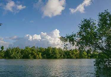 每日大赛91这次的规则解释，让我意识到：争议焦点复盘更能解释，关键在这里